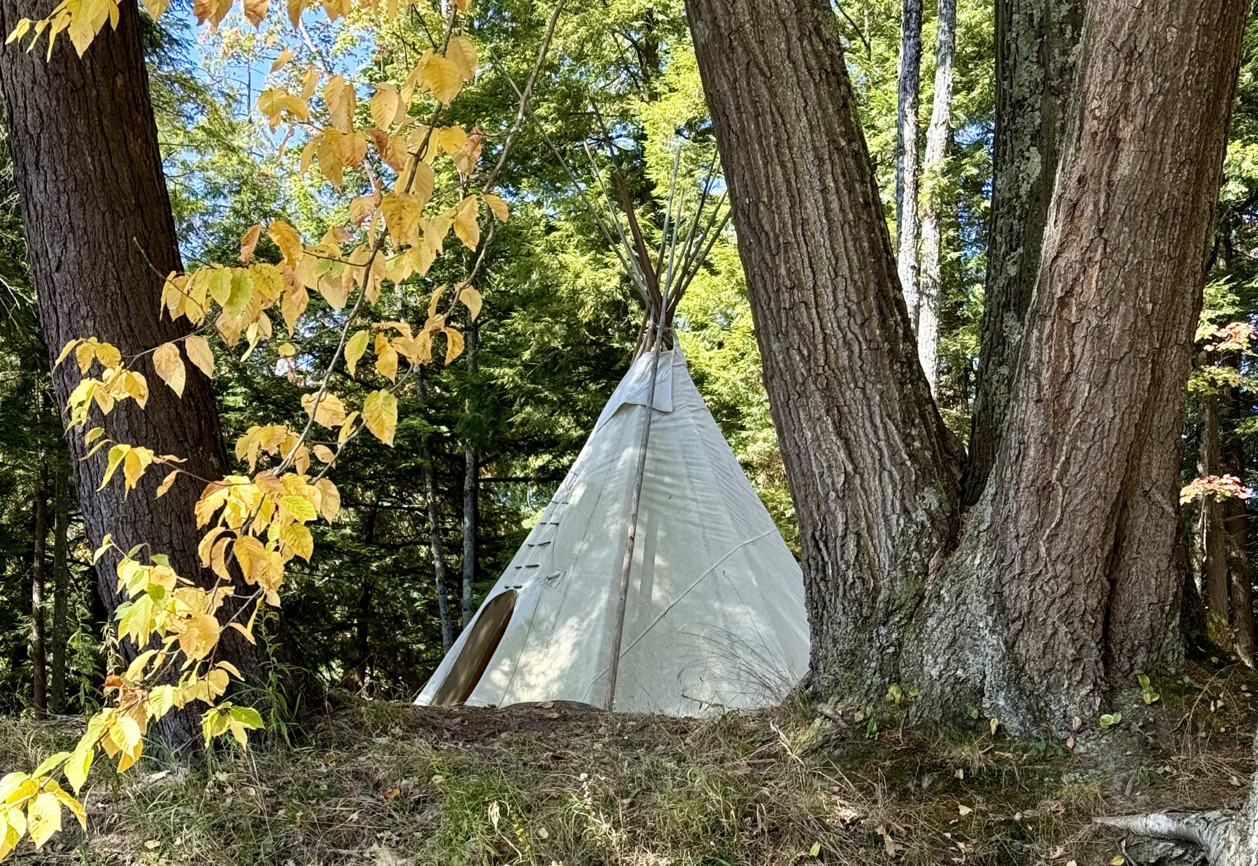 Tipi site Tipi site
